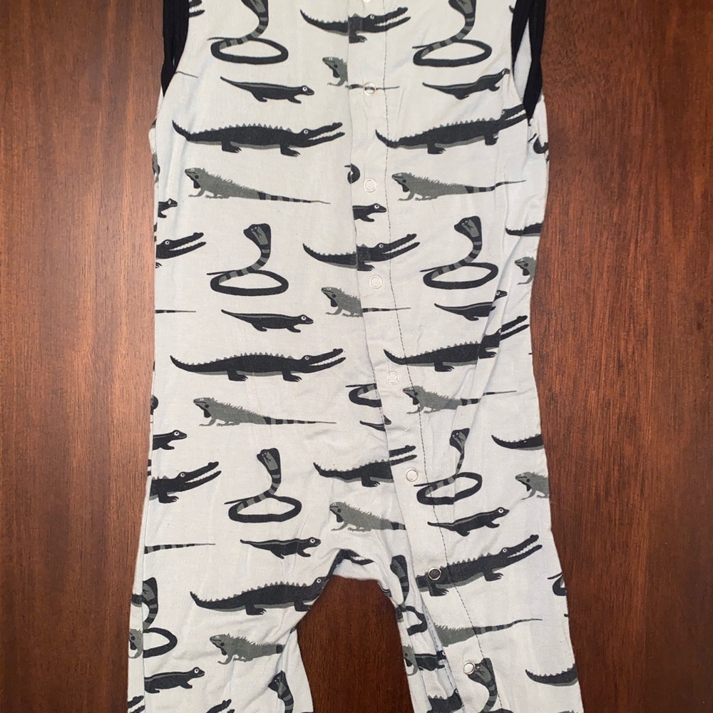 🐍🦎Kickee Bundle🦎🐍 - Picture 2 of 12